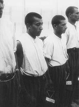 Romani (Gypsy) prisoners line up for roll call in the Dachau concentration camp.