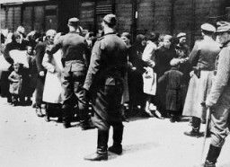 This photograph, part of the Auschwitz Album, was used as evidence in the Frankfurt trial. [LCID: 77404]